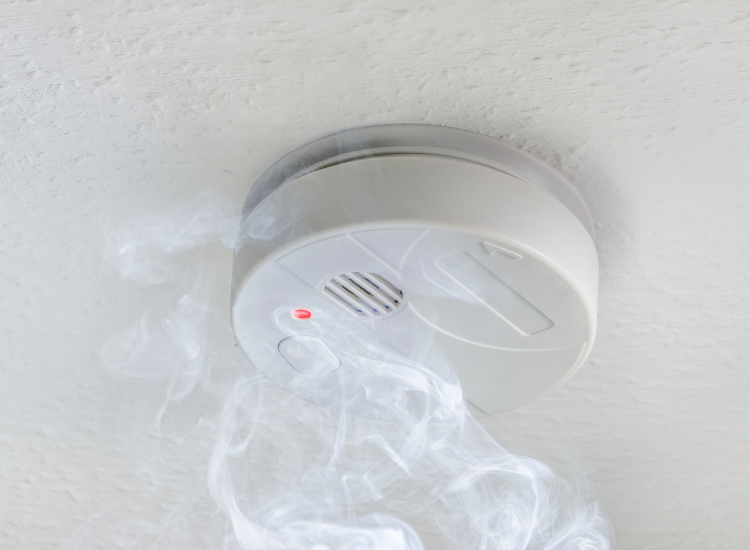 Fire and Carbon Monoxide Detection